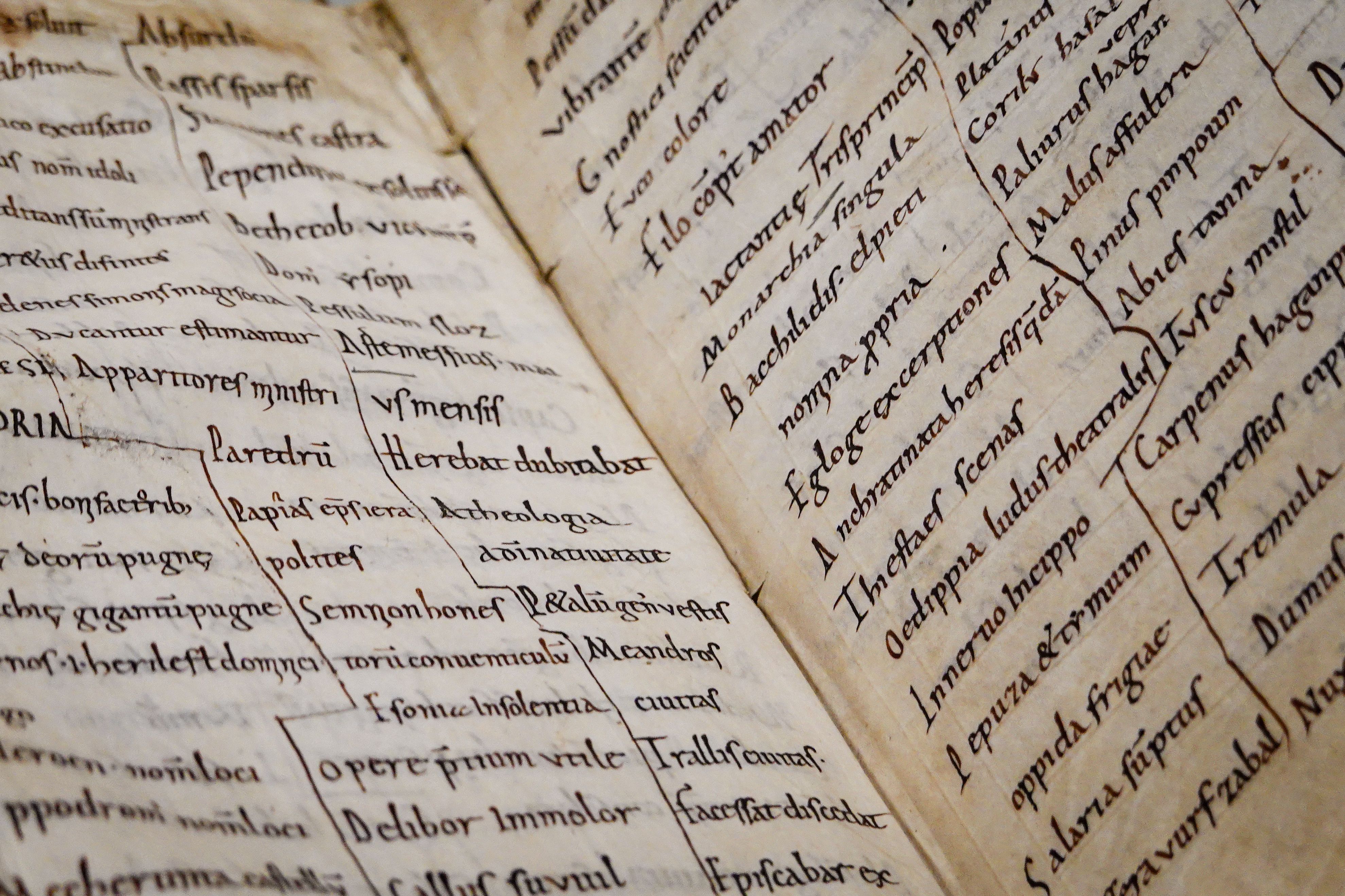 Detailed close-up of an ancient manuscript showcasing Latin text and calligraphy