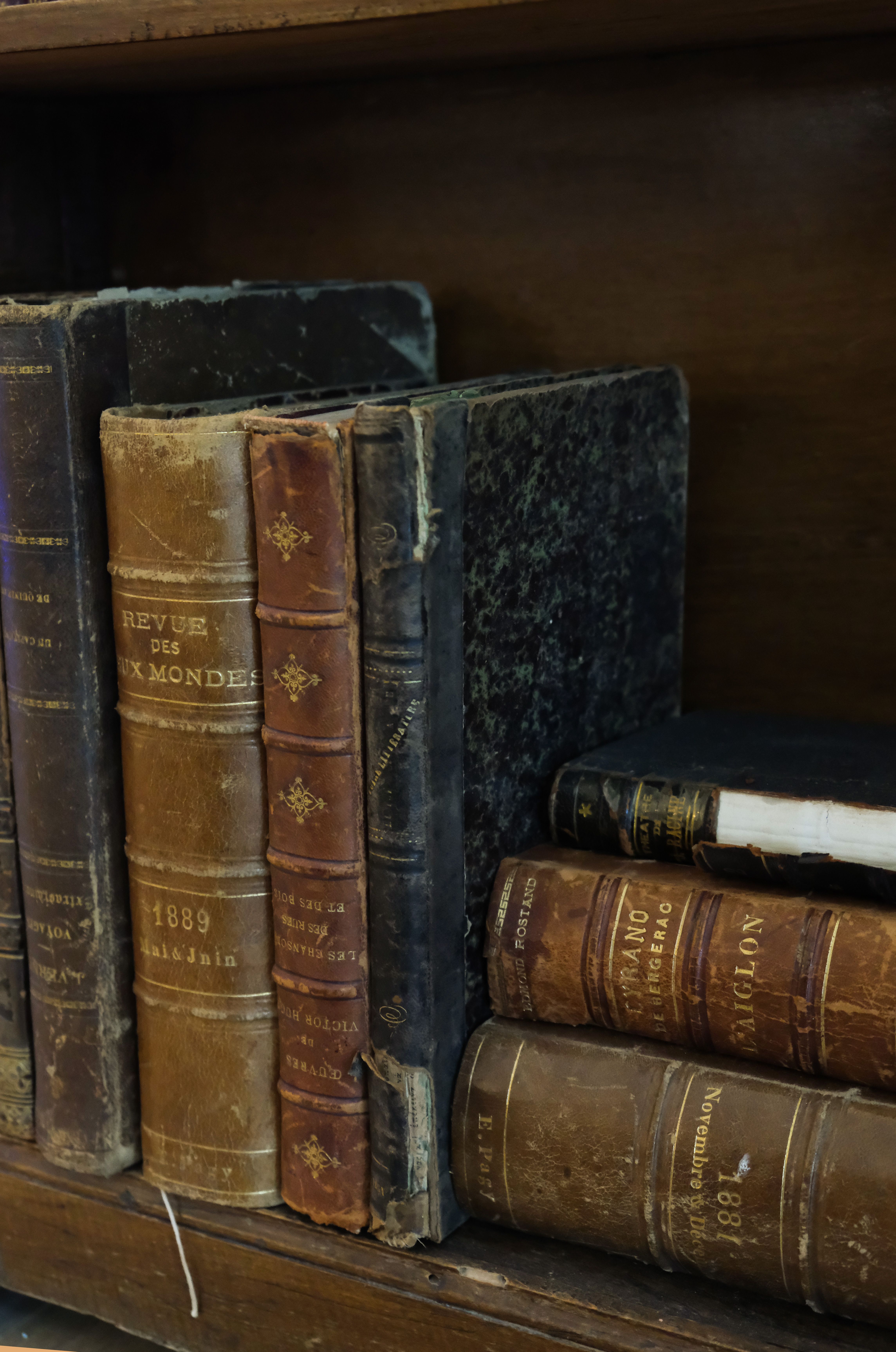 Antique leather-bound books on a shelf evoking a sense of history and literature