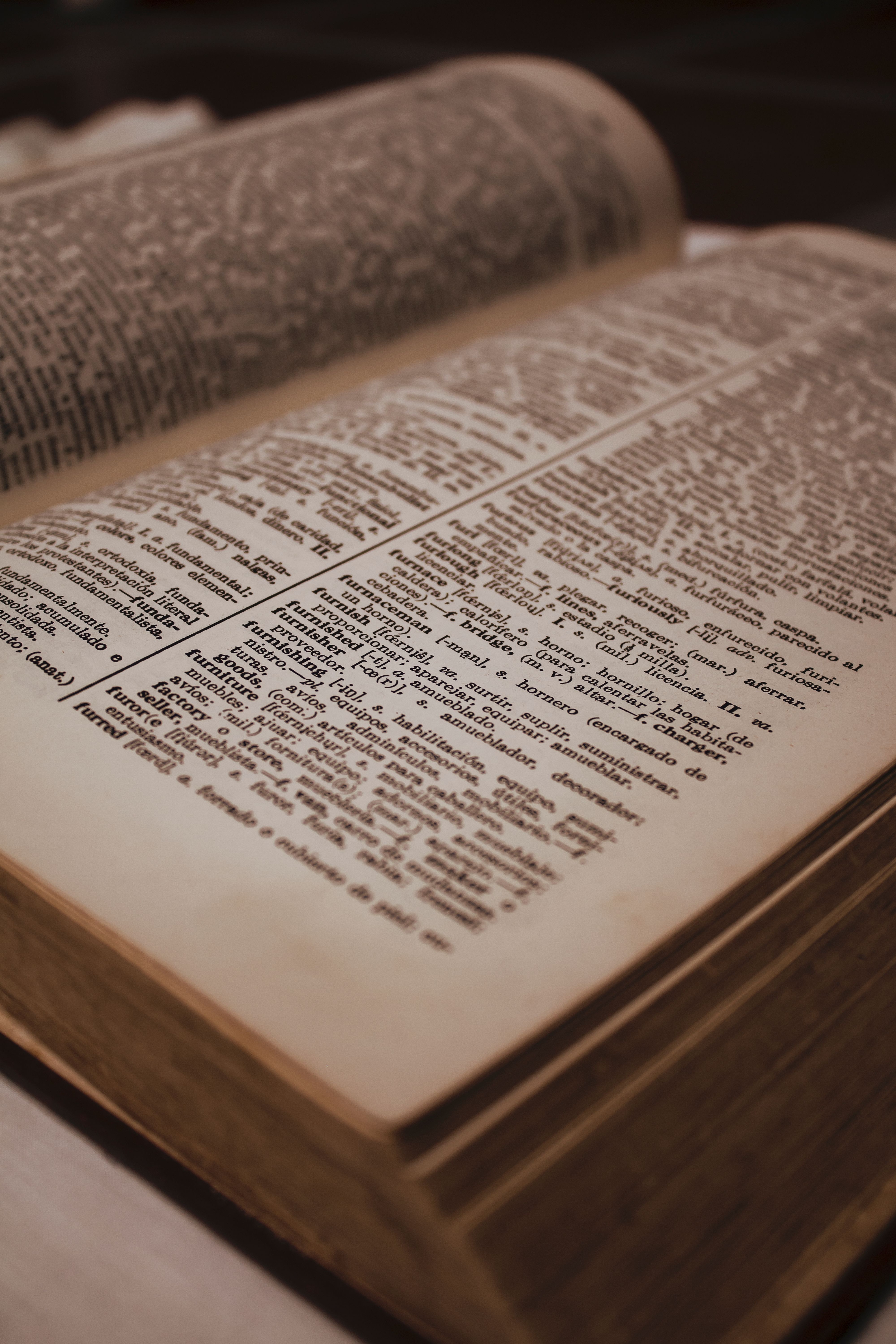 Close-up of an old dictionary page open under warm lighting, showing etymology text