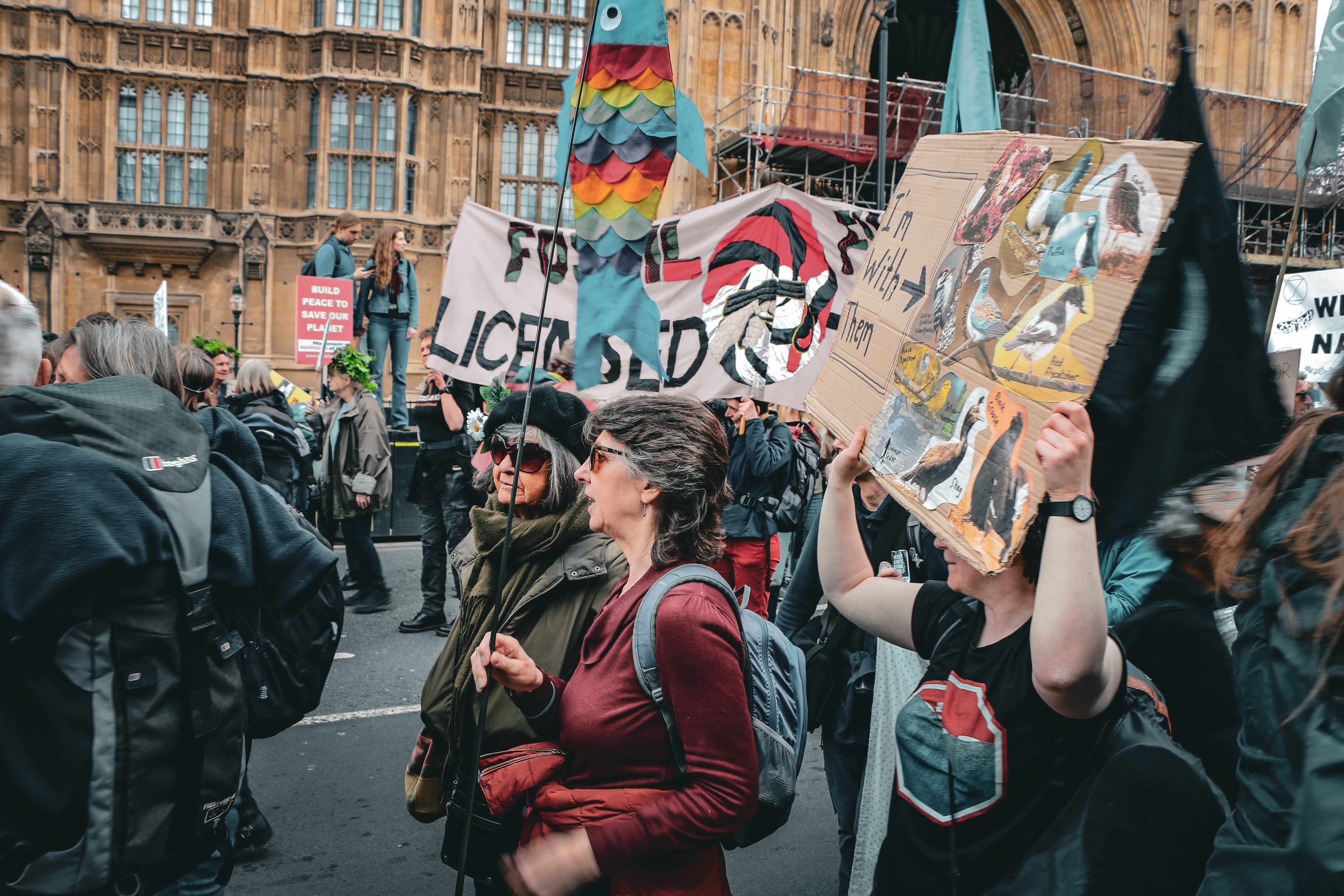 Environmental protesters holding creative signs in London, illustrating public participation and environmental rights.